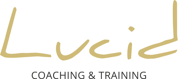 Logo Lucid Euregio Consultancy